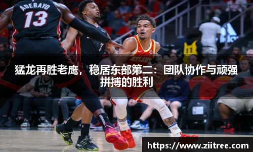 金年会网页版