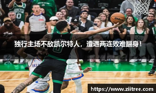 金年会