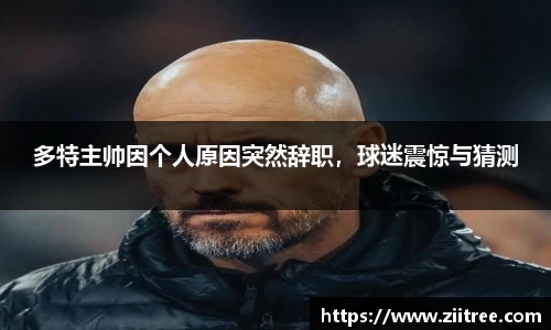 金年会