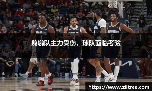 金年会金字招牌在线入口