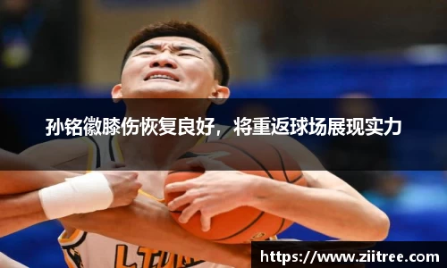 金年会 金字招牌诚信至上