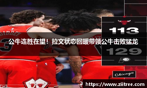 金年会 金字招牌诚信至上