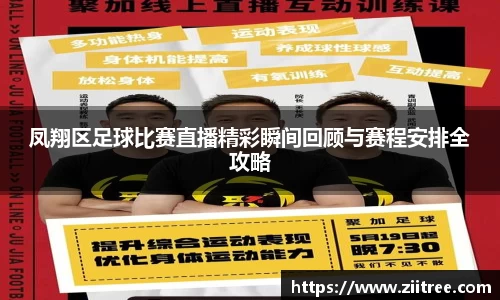 金年会
