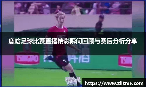 金年会金字招牌在线入口