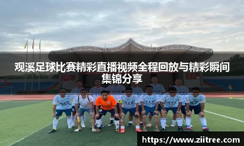 金年会