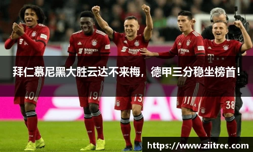 金年会 金字招牌诚信至上