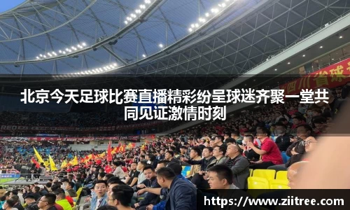 金年会 金字招牌诚信至上