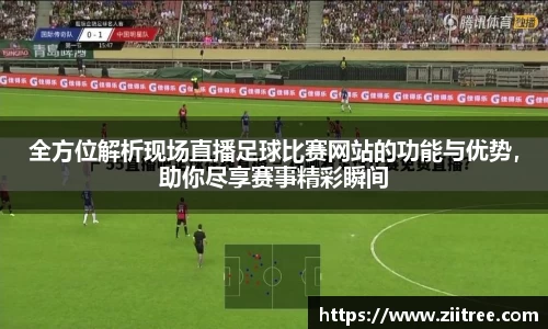 金年会