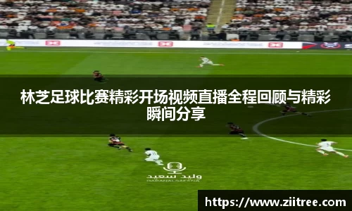 金年会 金字招牌诚信至上
