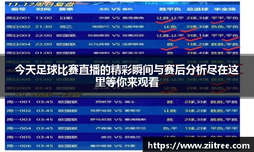 金年会