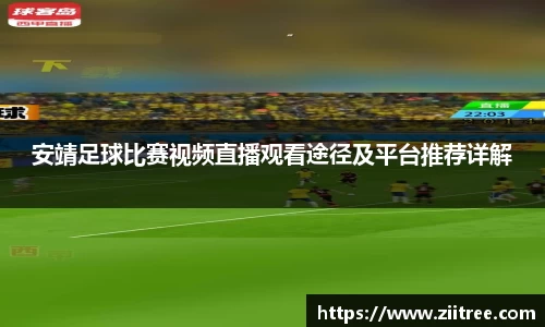 金年会