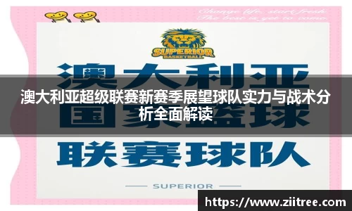 澳大利亚超级联赛新赛季展望球队实力与战术分析全面解读